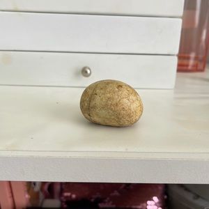 Rock for rock collection lover